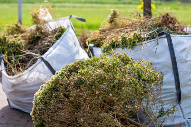 Debris Removal in Fairless Hills, PA